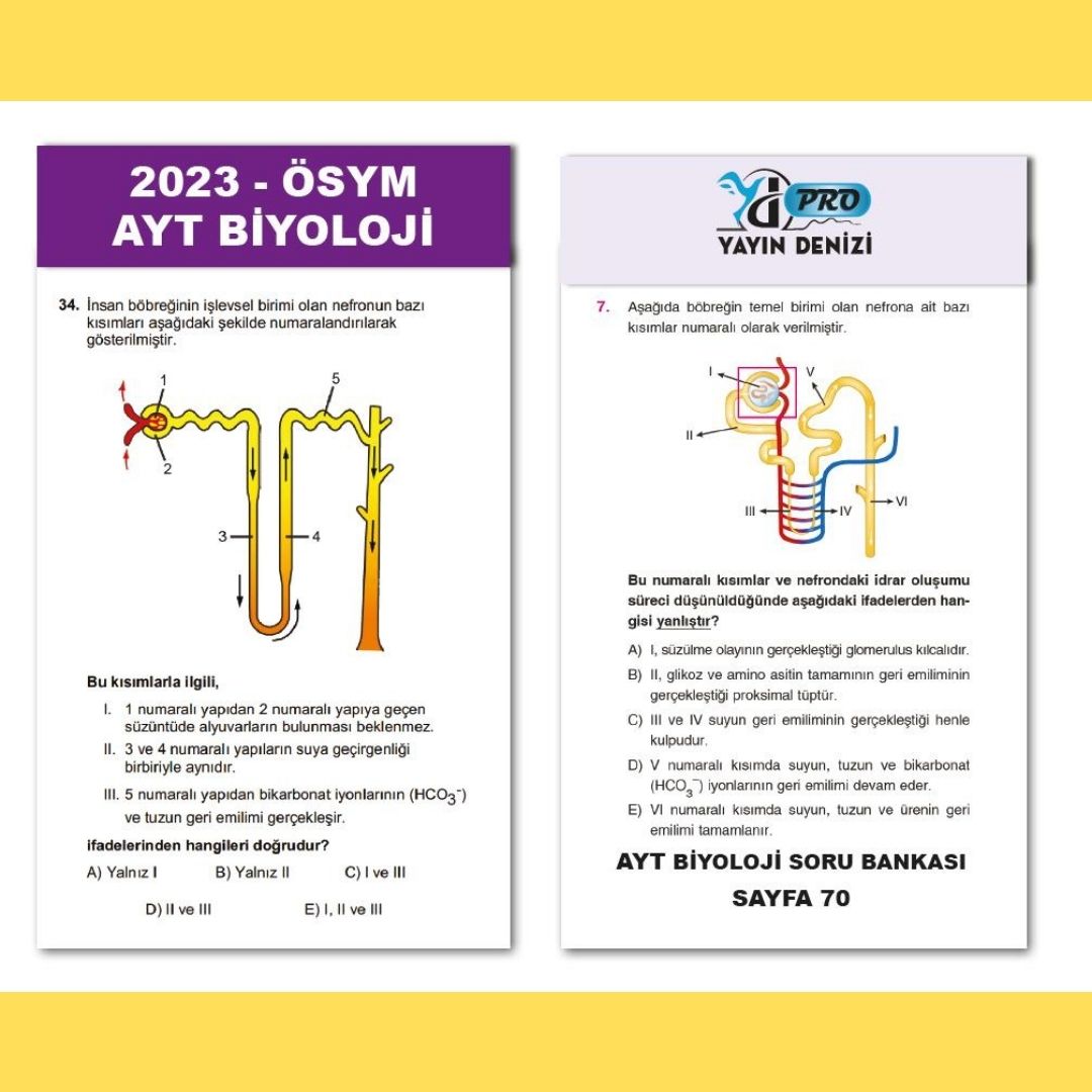 WhatsApp Image 2023-06-19 at 23-51-55 (1)