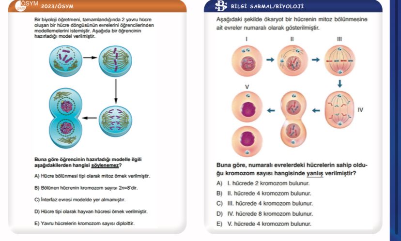 WhatsApp Image 2023-06-19 at 23-52-09 (2)